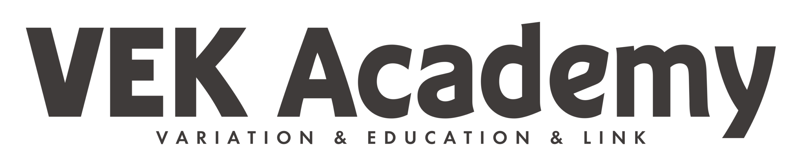 VEK Academy